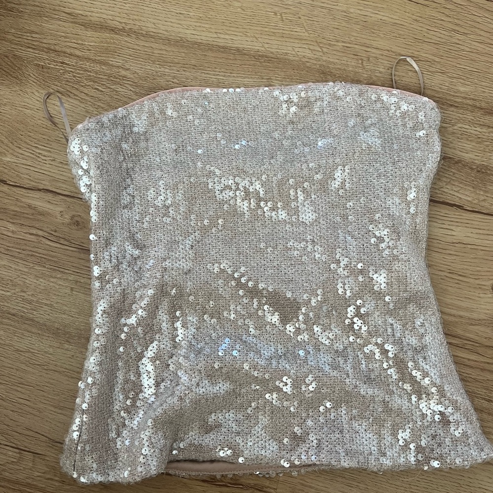 Zara Sequin Crop Top in Beige and Silver